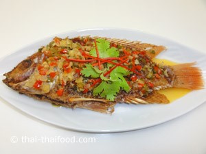 ปลาทับทิมราดพริกไซร์เล็ก 1 ตัว (กับข้าว)